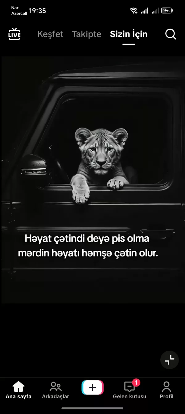 Kamil E.